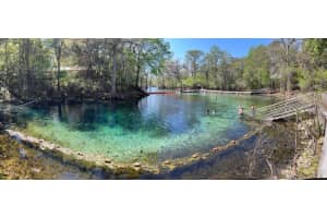 7296 170TH STREET, TRENTON, FL 32693 - MLS#MFRW7884450