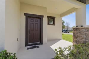 4924 BUTLER NATIONAL DRIVE, WESLEY CHAPEL, FL 33543 - MLS#MFRW7884453