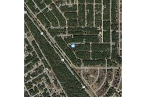 198 MCFADDIN PLACE, DUNNELLON, FL 34434 - MLS#MFRW7884461