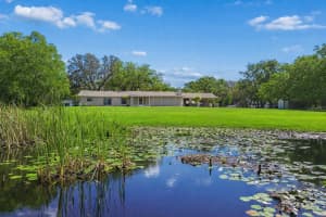 9035 SHARON DRIVE, NEW PORT RICHEY, FL 34654 - MLS#MFRW7884482