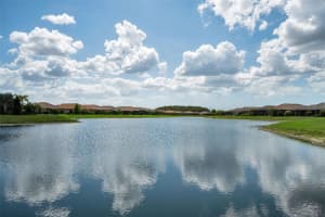 11151 CALLUNA DRIVE, ODESSA, FL 33556 - MLS#MFRW7884483