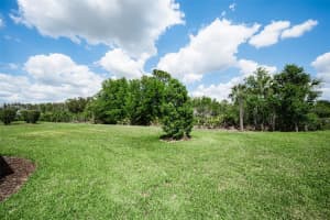 11151 CALLUNA DRIVE, ODESSA, FL 33556 - MLS#MFRW7884483