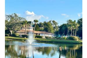 6519 Spring Flower Dr #24, NEW PORT RICHEY