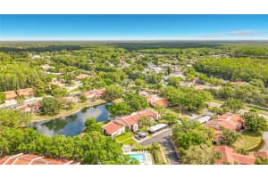 3505 TARPON WOODS BOULEVARD, PALM HARBOR, FL 34685 - MLS#MFRW7884507