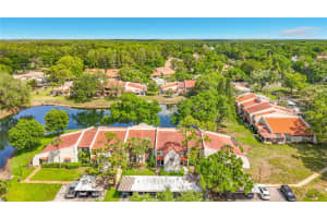 3505 TARPON WOODS BOULEVARD, PALM HARBOR, FL 34685 - MLS#MFRW7884507