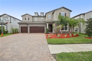 11032 SUNDRIFT DRIVE, TAMPA, FL 33647 - MLS#MFRW7884524