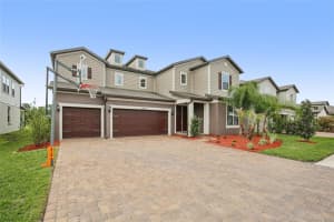 11032 SUNDRIFT DRIVE, TAMPA, FL 33647 - MLS#MFRW7884524