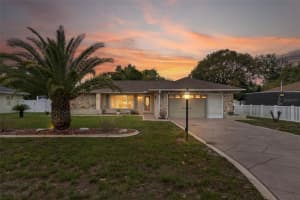 3217 ABELINE ROAD, SPRING HILL, FL 34608 - MLS#MFRW7884527