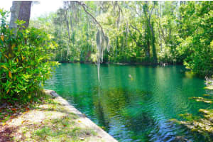 1873 MAZO MANOR, LUTZ, FL 33558 - MLS#MFRW7884572
