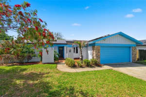 2816 RUSTIC OAKS DRIVE, PALM HARBOR, FL 34684 - MLS#MFRW7884575