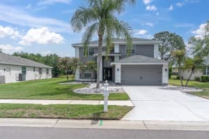 2487 SADDLEWOOD LANE, PALM HARBOR, FL 34685 - MLS#MFRW7884593