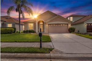 1744 Lady Palm Ct, TRINITY