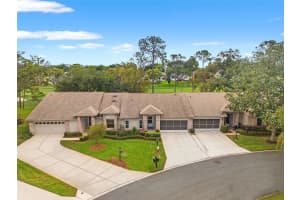7446 BAYWOOD FOREST CIRCLE, SPRING HILL, FL 34606 - MLS#MFRW7884637