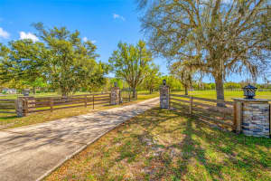 11939 PASCO TRAILS BOULEVARD, SPRING HILL, FL 34610 - MLS#MFRW7884639