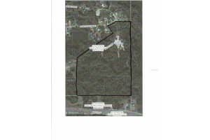 0 ROYAL PALM AVE, NEW PORT RICHEY, FL 34654 - MLS#MFRW7884651