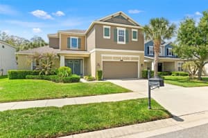 8853 BELLA VITA CIRCLE, LAND O LAKES, FL 34637 - MLS#MFRW7884664