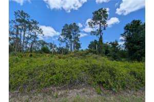 784 WASHINGTON BOULEVARD, LAKE PLACID, FL 33852 - MLS#MFRW7884669