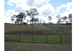 28448 WILDLIFE LANE, BROOKSVILLE, FL 34602 - MLS#MFRW7884670