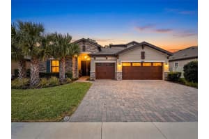 21931 WOODSHADOW WAY, LAND O LAKES, FL 34637 - MLS#MFRW7884676