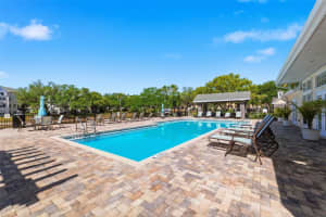 3321 HAVILAND COURT, PALM HARBOR, FL 34684 - MLS#MFRW7884684