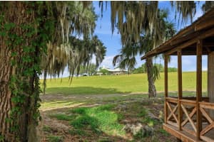 18610 TOWNSEND HOUSE ROAD, DADE CITY, FL 33523 - MLS#MFRW7884689