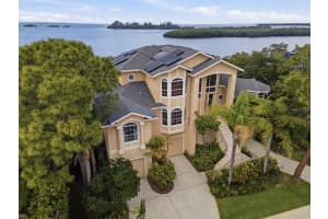 2017 HARBOUR WATCH CIRCLE, TARPON SPRINGS, FL 34689 - MLS#MFRW7884748