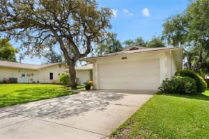 8510 WINDING WOOD DRIVE, PORT RICHEY, FL 34668 - MLS#MFRW7884759