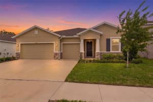 3787 Autumn Amber Dr, SPRING HILL