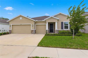 3787 AUTUMN AMBER DRIVE, SPRING HILL, FL 34609 - MLS#MFRW7884783