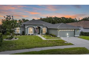 1455 WINDING WILLOW DRIVE, TRINITY, FL 34655 - MLS#MFRW7884802