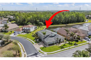 2730 MANNING DRIVE, TRINITY, FL 34655 - MLS#MFRW7884803