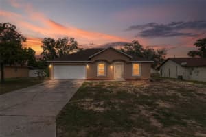 11005 MATTERHORN COURT, SPRING HILL, FL 34608 - MLS#MFRW7884815