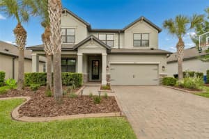 4051 MELLON DRIVE, ODESSA, FL 33556 - MLS#MFRW7884830