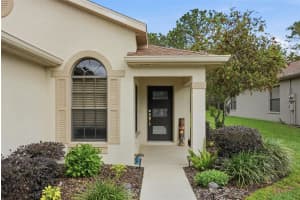 11437 DEERCROFT COURT, SPRING HILL, FL 34609 - MLS#MFRW7884835