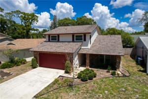 14711 TALL TREE DRIVE, LUTZ, FL 33559 - MLS#MFRW7884855