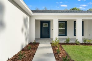 12116 PETREL AVENUE, WEEKI WACHEE, FL 34614 - MLS#MFRW7884860