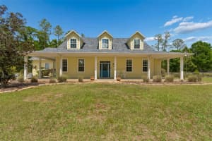 5438 DREXEL ROAD, LAND O LAKES, FL 34638 - MLS#MFRW7884883