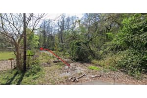 55 MARQUERITE AVENUE, NEW PORT RICHEY, FL 34654 - MLS#MFRW7884902