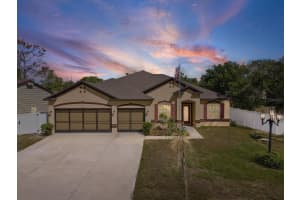 13169 SANTEE STREET, SPRING HILL, FL 34609 - MLS#MFRW7884931