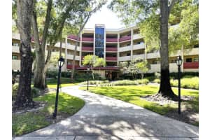 3076 Eastland Blvd #203, CLEARWATER