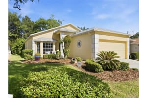 18018 WEBSTER GROVE DRIVE, HUDSON, FL 34667 - MLS#MFRW7884952
