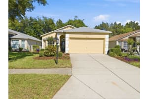 18018 WEBSTER GROVE DRIVE, HUDSON, FL 34667 - MLS#MFRW7884952