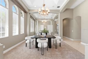 11627 BRISTOL CHASE DRIVE, TAMPA, FL 33626 - MLS#MFRW7884966