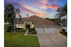 8843 TORCHWOOD DRIVE, TRINITY, FL 34655 - MLS#MFRW7884967