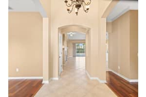8843 TORCHWOOD DRIVE, TRINITY, FL 34655 - MLS#MFRW7884967