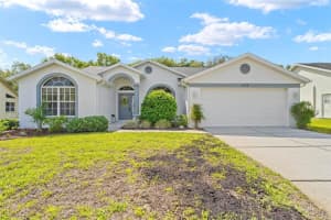 432 Mistwood Ct, SPRING HILL