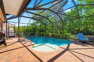 8743 NEW ALEXANDRIA LOOP, NEW PORT RICHEY, FL 34654 - MLS#MFRW7884995