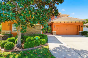 8743 NEW ALEXANDRIA LOOP, NEW PORT RICHEY, FL 34654 - MLS#MFRW7884995