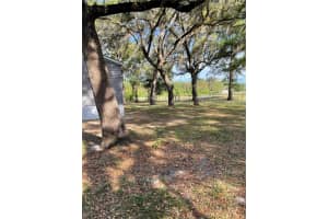 7697 165TH STREET, TRENTON, FL 32693 - MLS#MFRW7885007