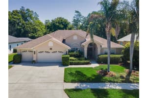 1234 ARLINBROOK DRIVE, TRINITY, FL 34655 - MLS#MFRW7885018